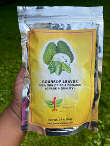 Soursop/ Guanabana Leaves