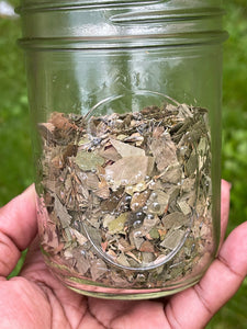 Ginkgo Biloba Leaf (3oz)